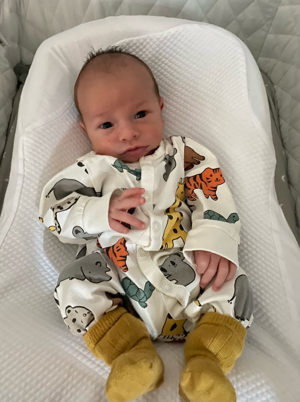 Niko Kovačić, Gornji Draganec