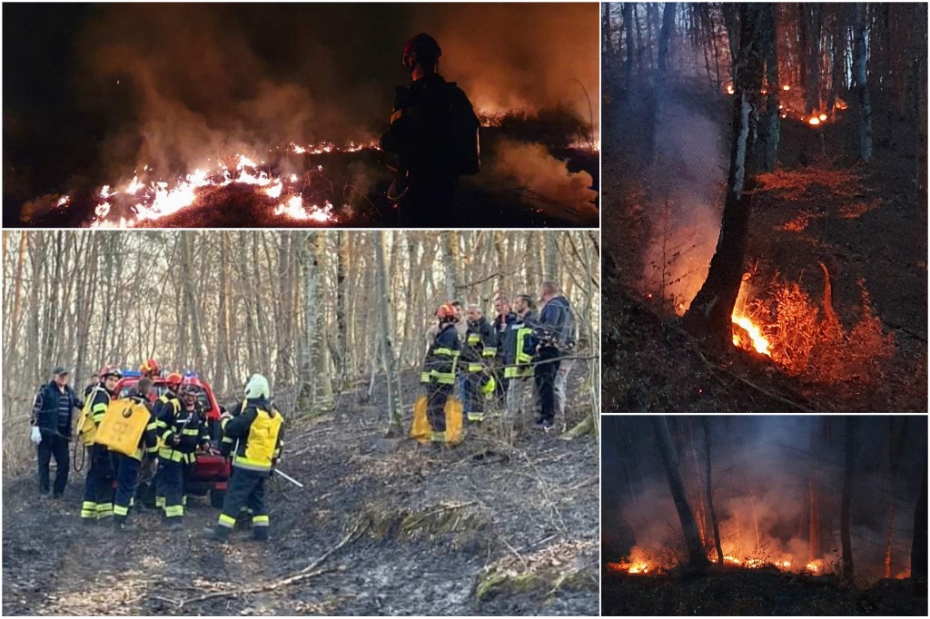 [FOTO] VATRENA STIHIJA Čak 26 vatrogasaca sa 7 vatrogasnih vozila 11 sati gasilo veliki požar šume