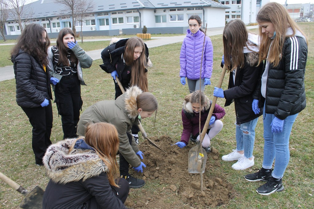 braća radić recikliranje (3)