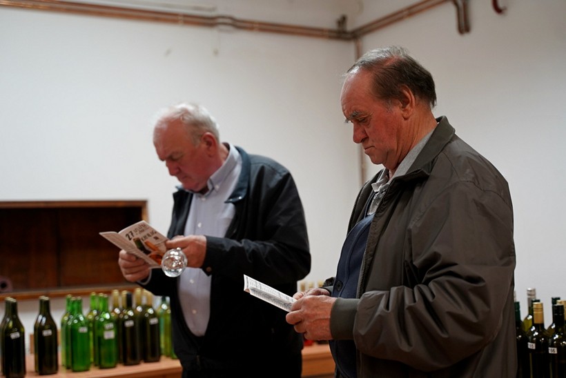 izlozba vina klostar (11)