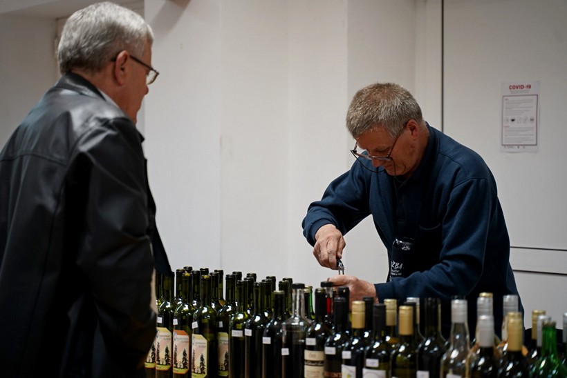 izlozba vina klostar (8)