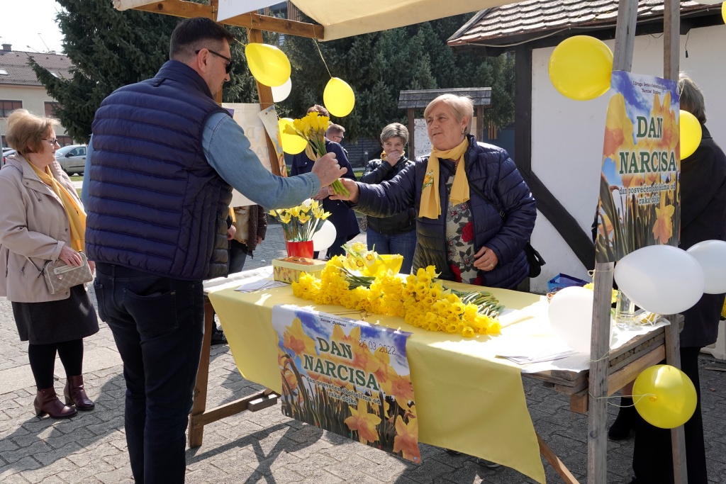 narcise đurđevac (3)