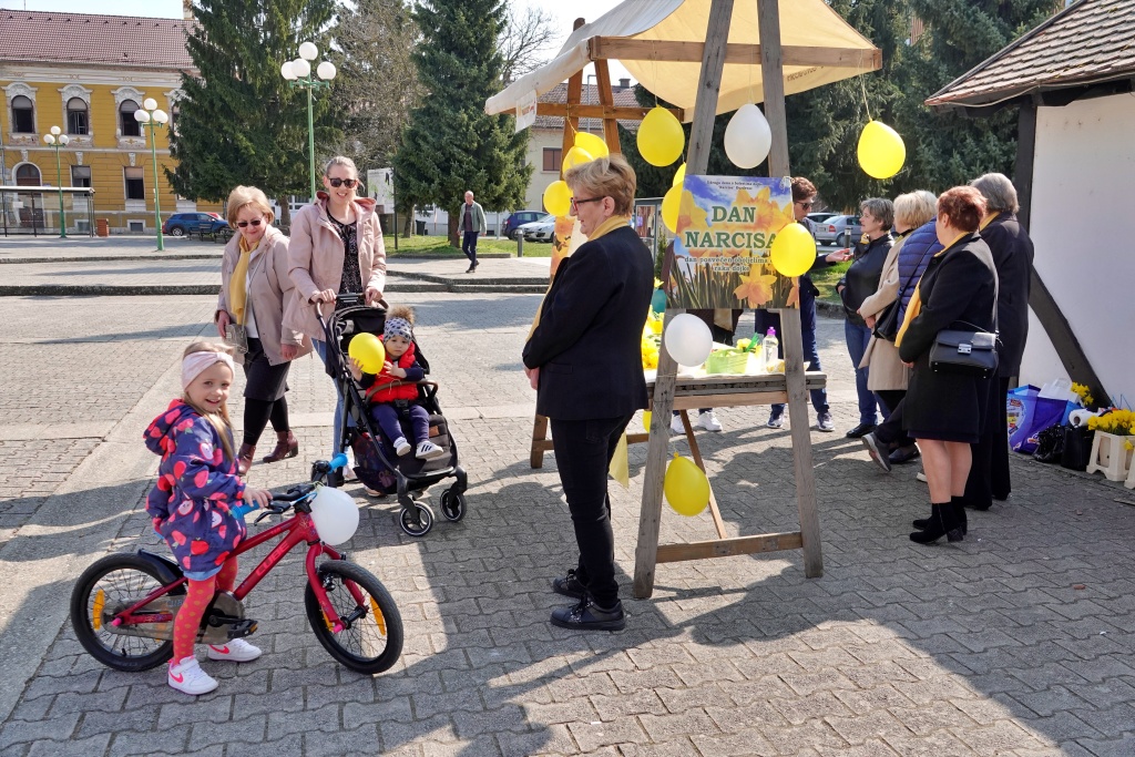 narcise đurđevac (8)