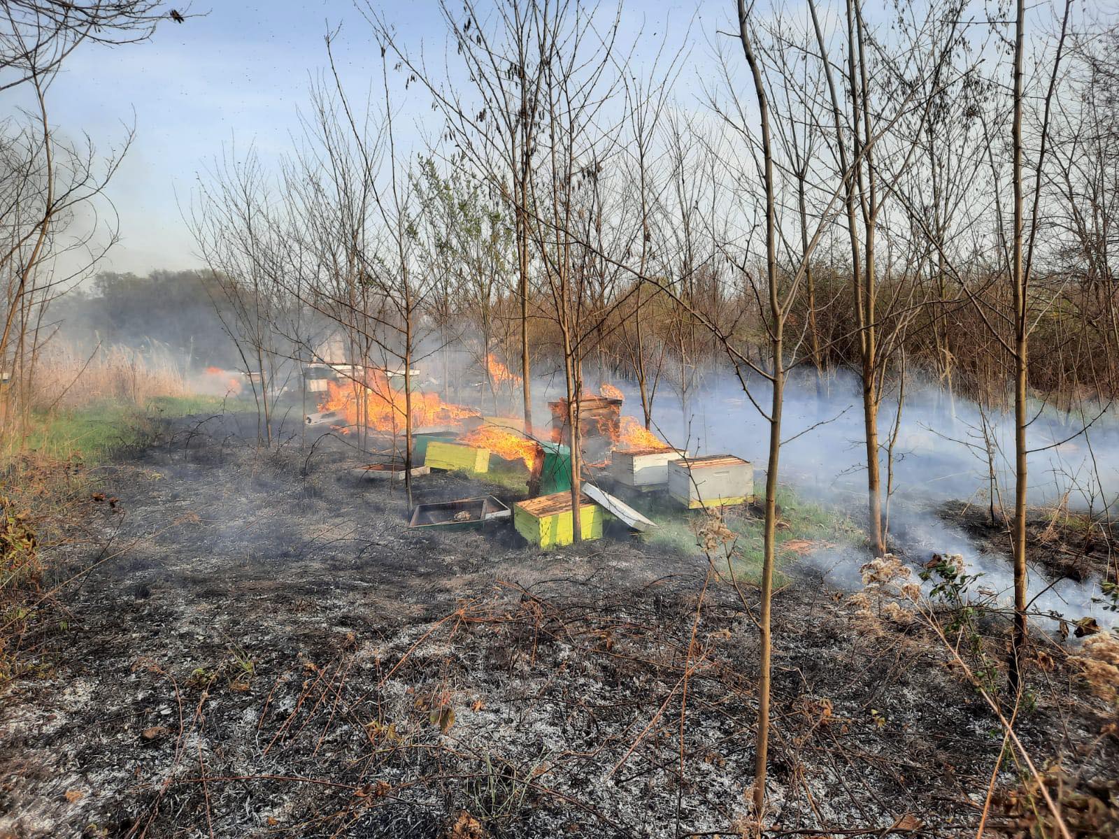 požar križevci vrbovec (2)