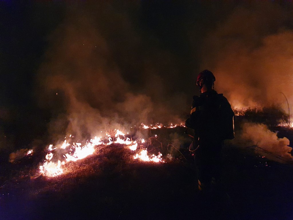 Požar šuma žumberak (1)