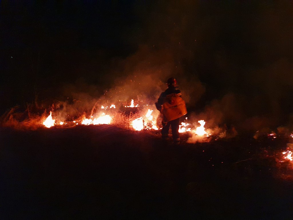 požar šuma žumberak (12)