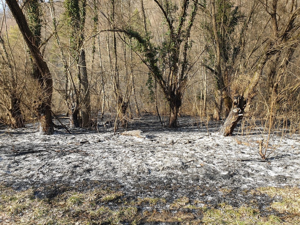 požar šuma žumberak (3)