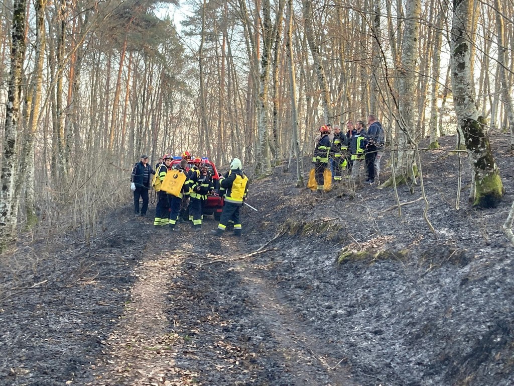 požar šuma žumberak (5)