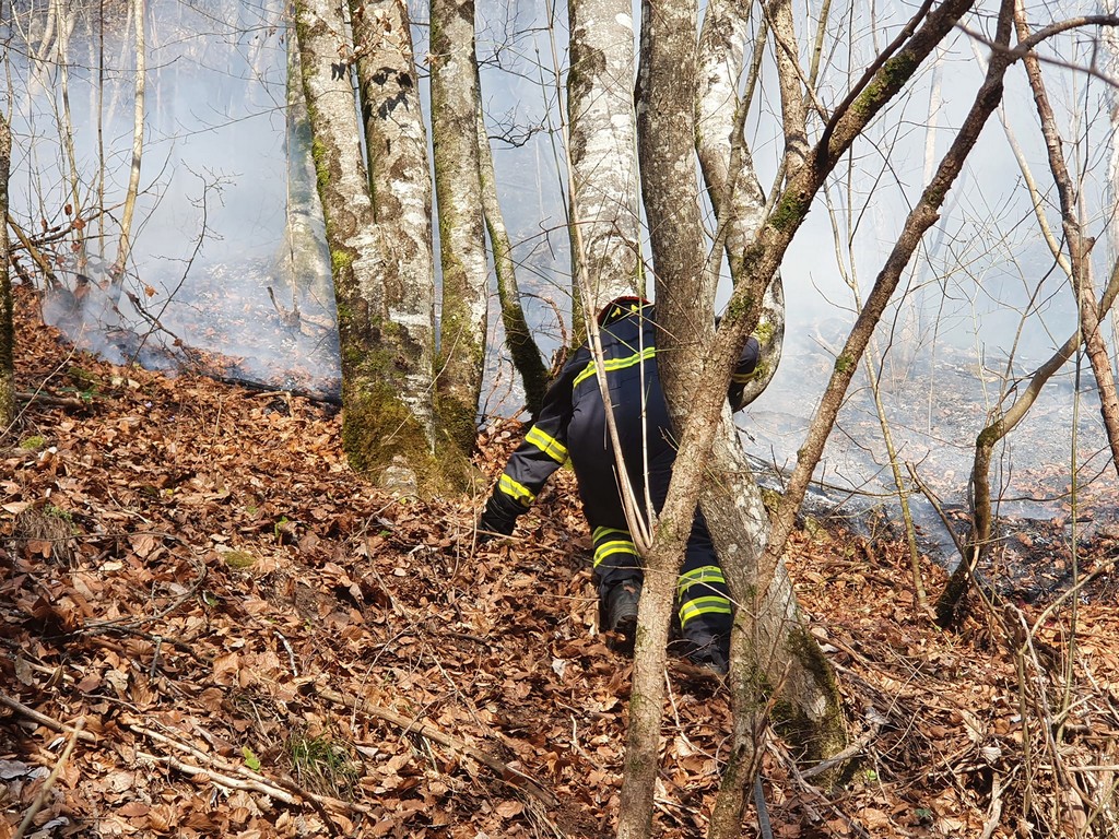 požar šuma žumberak (7)