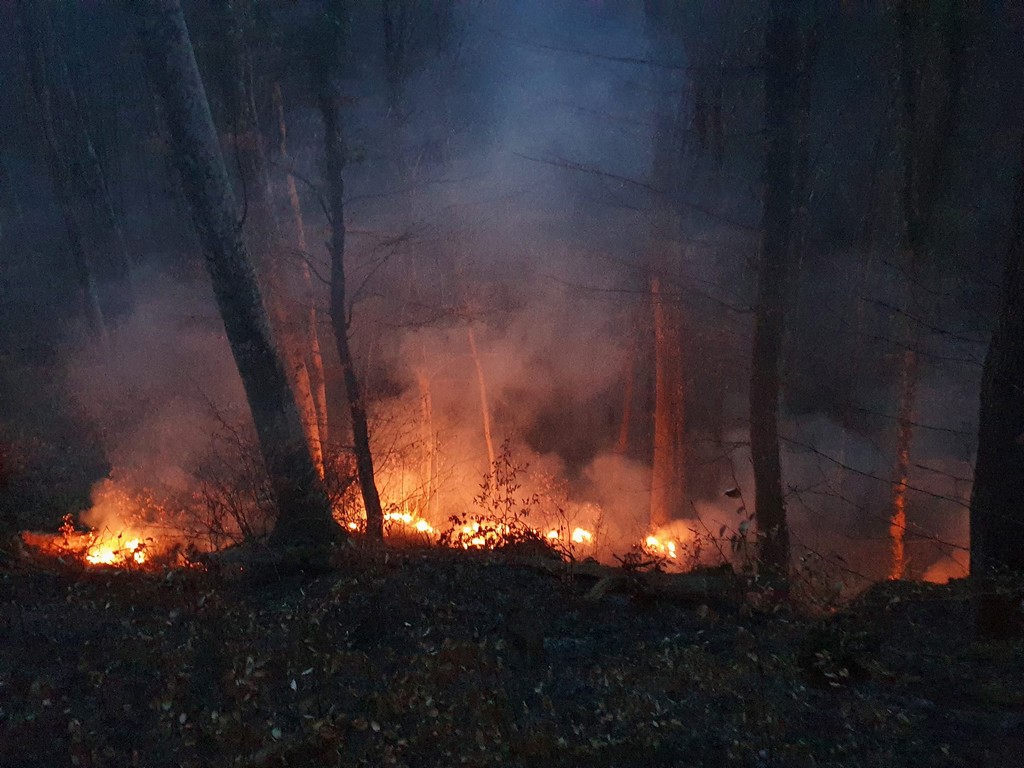 požar šuma žumberak (9)
