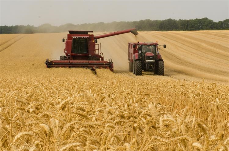 EU onemogućava uvoz žita iz Rusije i Bjelorusije na svoje tržište