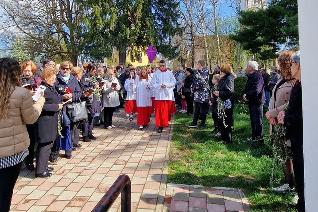 cvjetnica vrbovec (1)