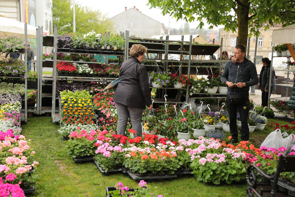 krizevci-u-cvijecu-03