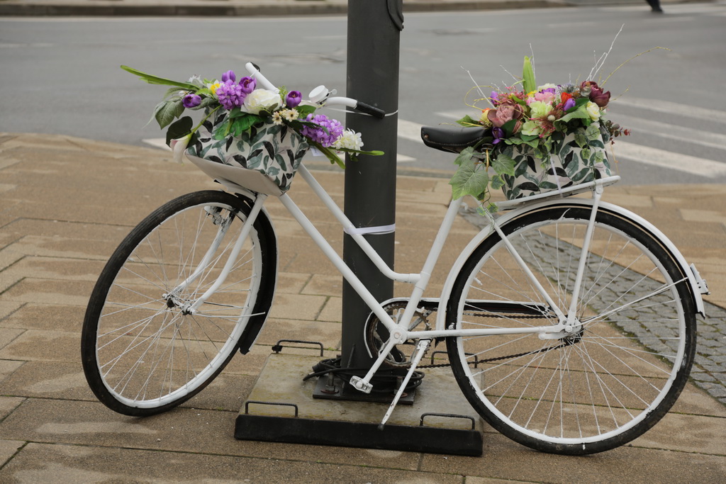 krizevci-u-cvijecu-06