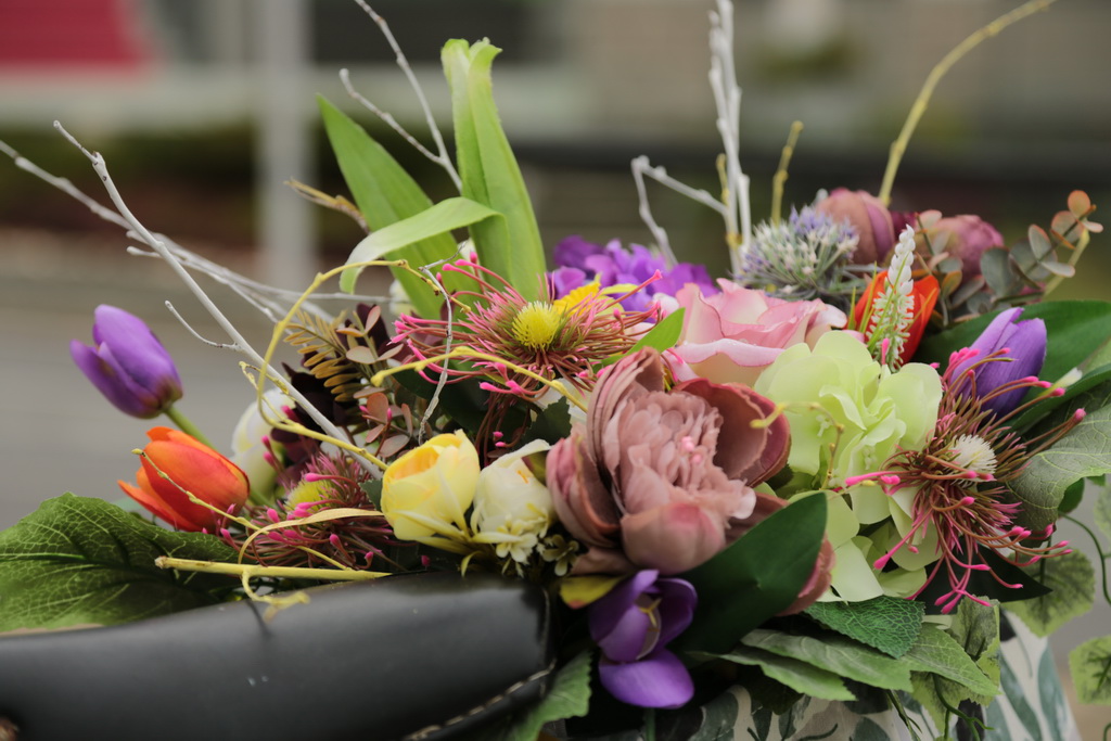 krizevci-u-cvijecu-07