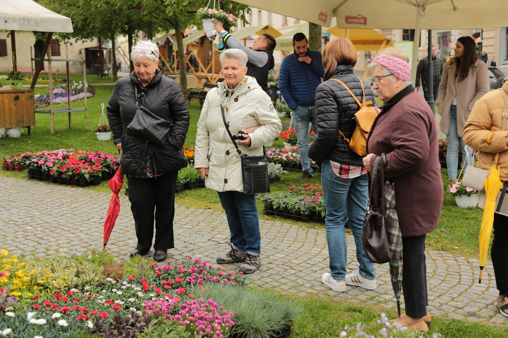 krizevci-u-cvijecu-16