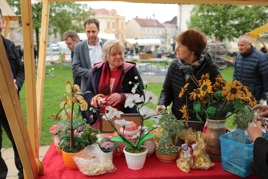 krizevci-u-cvijecu-23