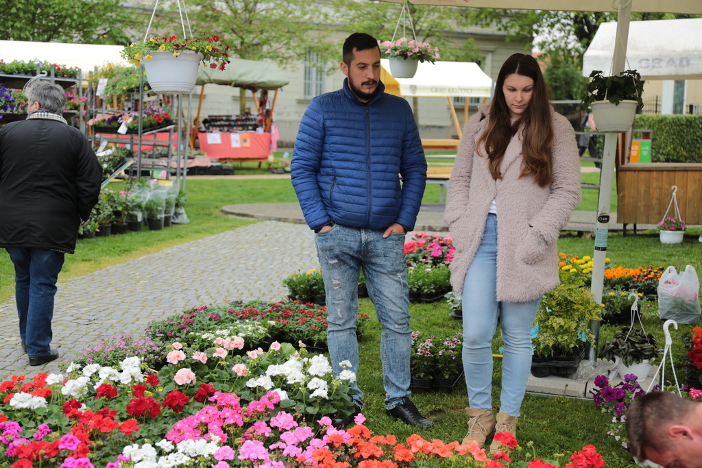 krizevci-u-cvijecu-33