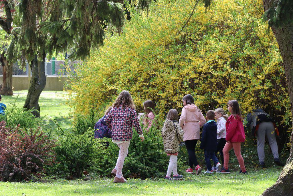 lov na pisanice koprivnica (3)