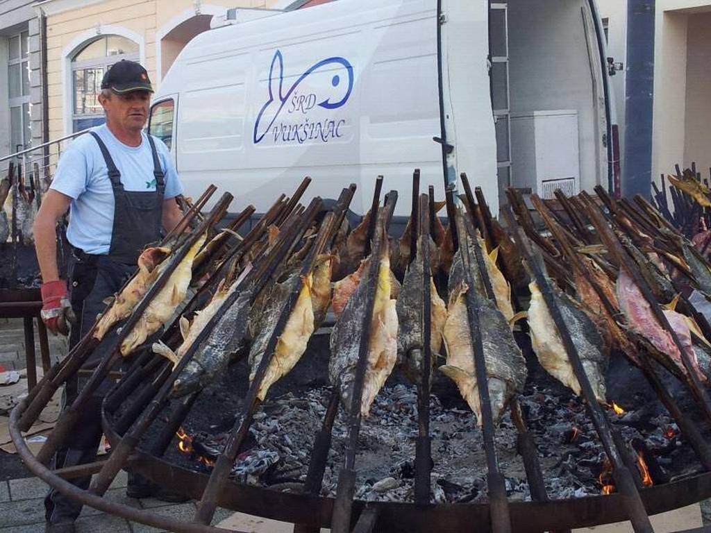 ribe rašlje vrbovec (2)