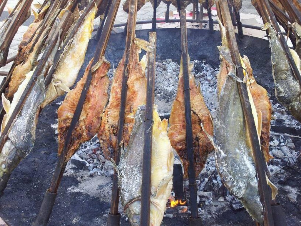 ribe rašlje vrbovec (3)