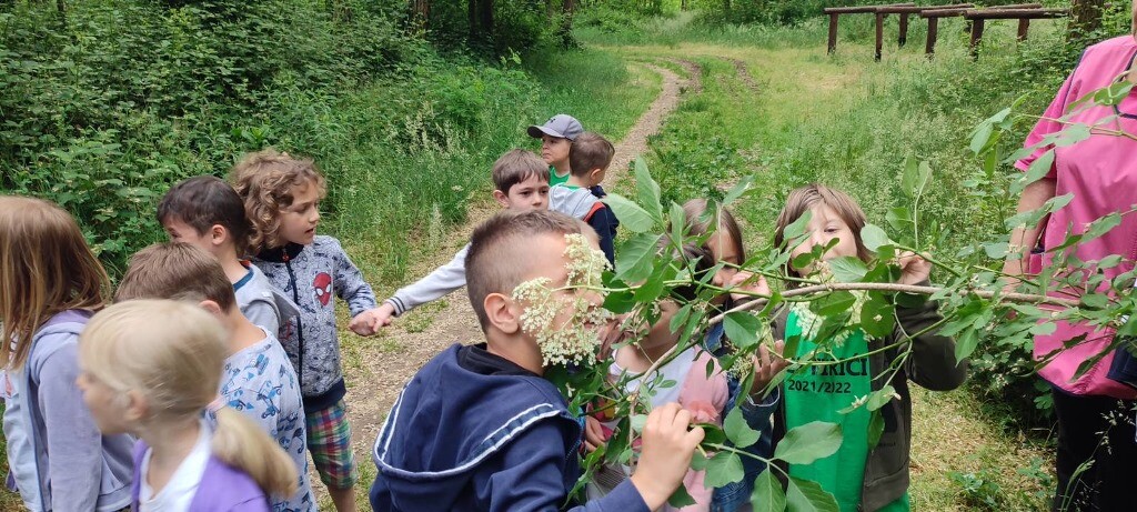 đurđevac predskolci (2)
