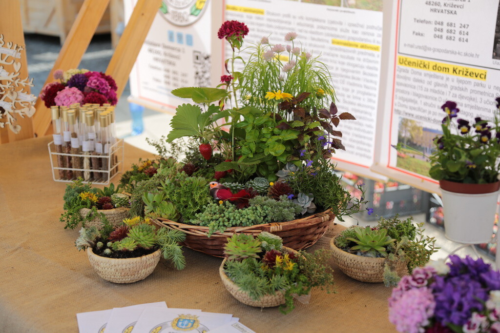 prezentacija-srednjih-skola-10