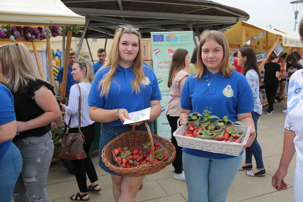 prezentacija-srednjih-skola-34