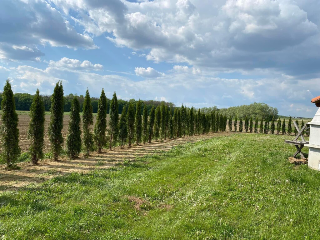 ribnjak farkaševac (1)