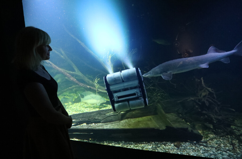 Karlovac: Aquatika nabavila novi robot zadužen za čišćenje velikog akvarija