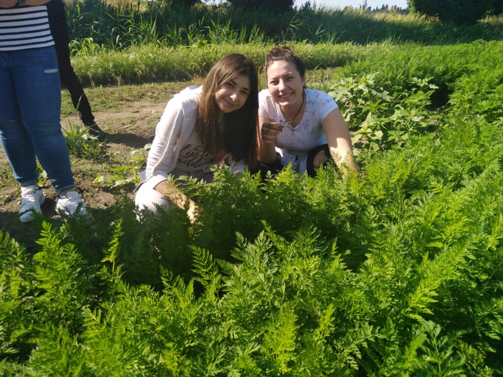 Terenska nastava studenta Visokog gospodarskog učilišta u Križevcima na PZ Vrana kod Biograda na Moru (4)