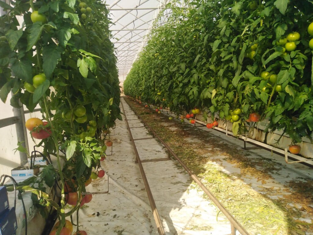 Terenska nastava studenta Visokog gospodarskog učilišta u Križevcima na PZ Vrana kod Biograda na Moru (8)