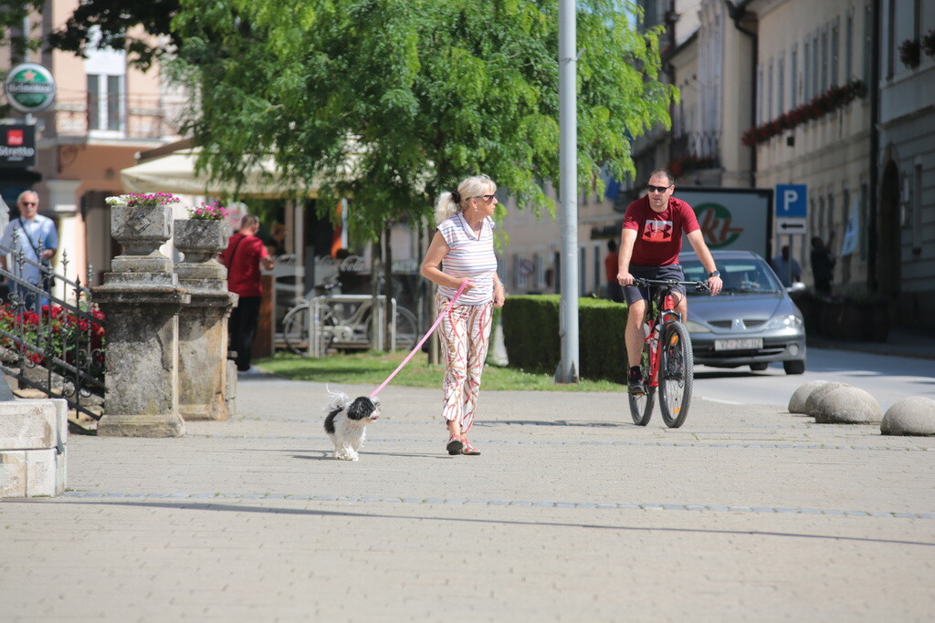 fotkalo-petak-je-petak-18