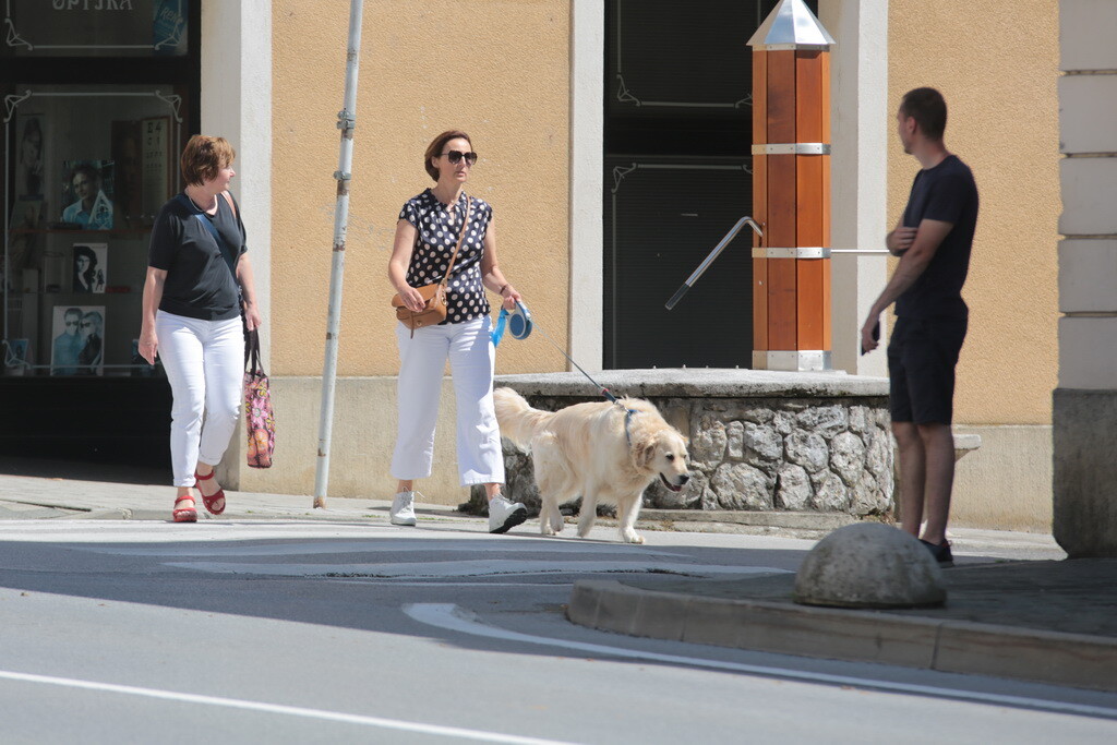 fotkalo-petak-je-petak-34