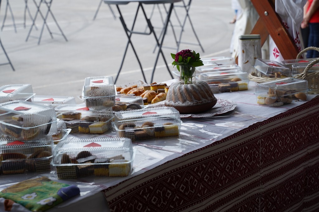 koprivnicki ivanec (11)