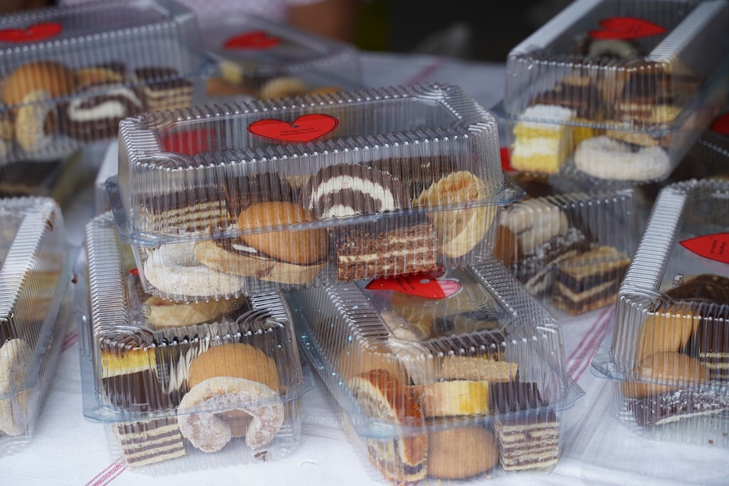 koprivnicki ivanec (13)