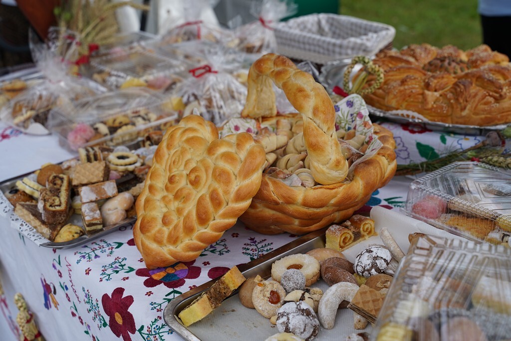 koprivnicki ivanec (22)