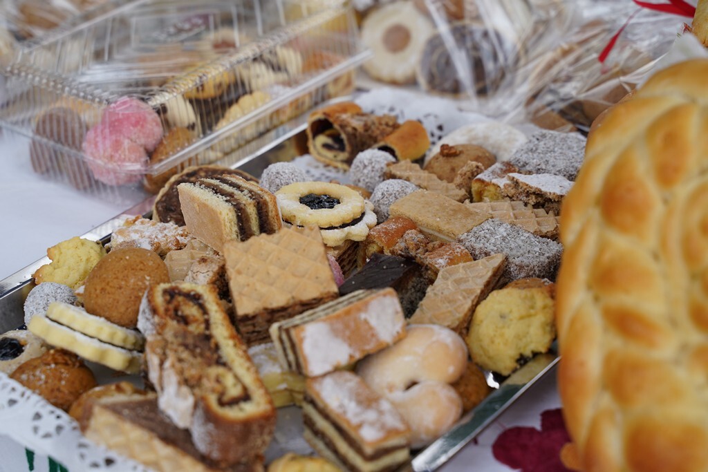 koprivnicki ivanec (23)