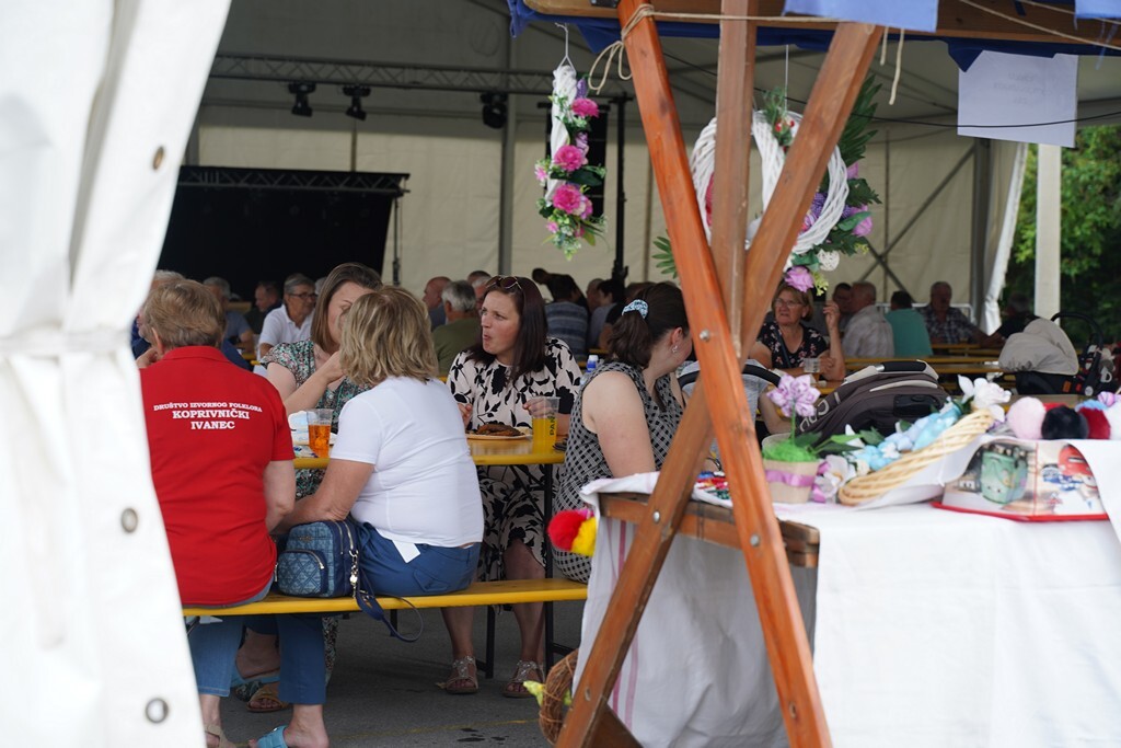 koprivnicki ivanec (4)