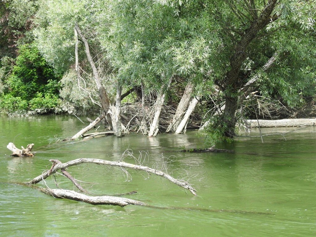 splavarenje_Varaždin_Vukovar (10)