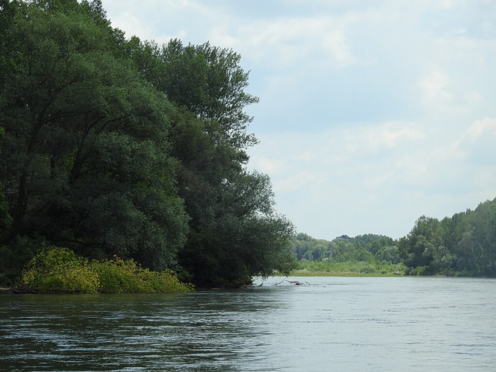 splavarenje_Varaždin_Vukovar (16)