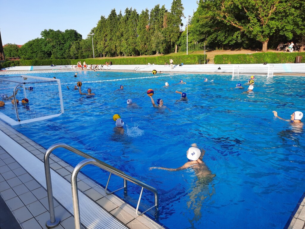 PVK Mladost Bjelovar (2)