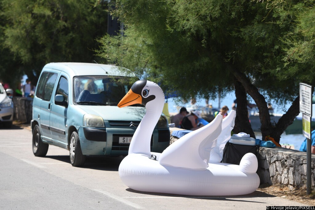 Labud luftić zauzeo parkirno mjesto u Srimi