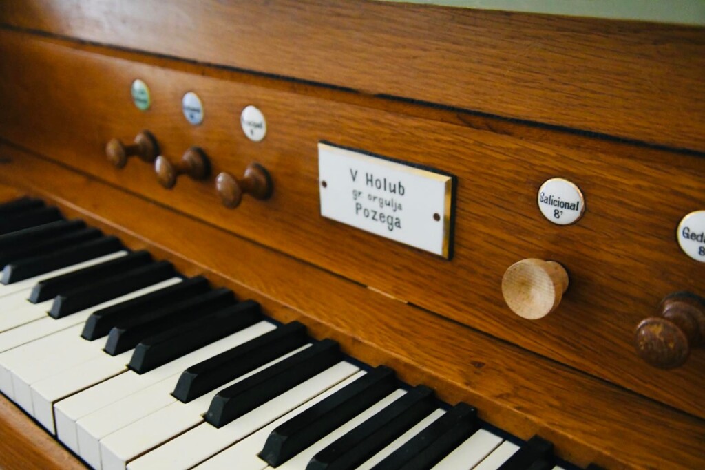 orgulje16