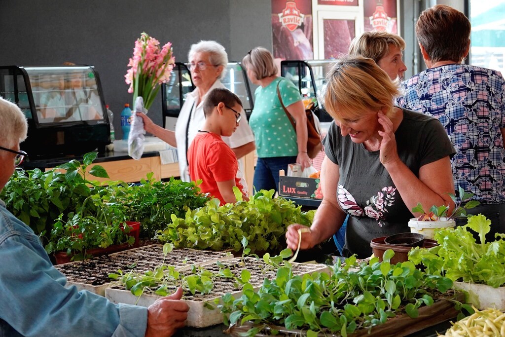 tržnica đurđevac (4)