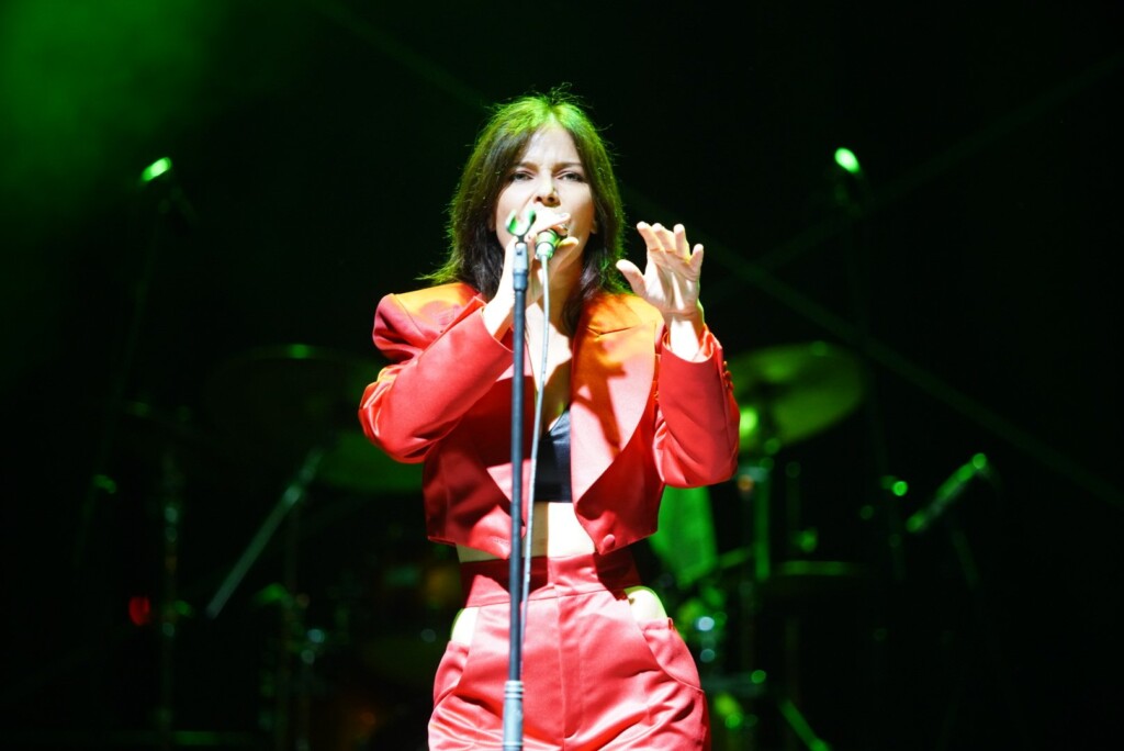 vesna pisarović (1)