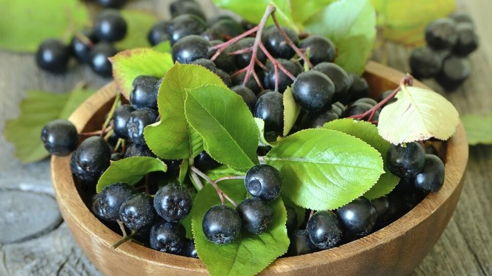 932f9a55fd4c52886bbe