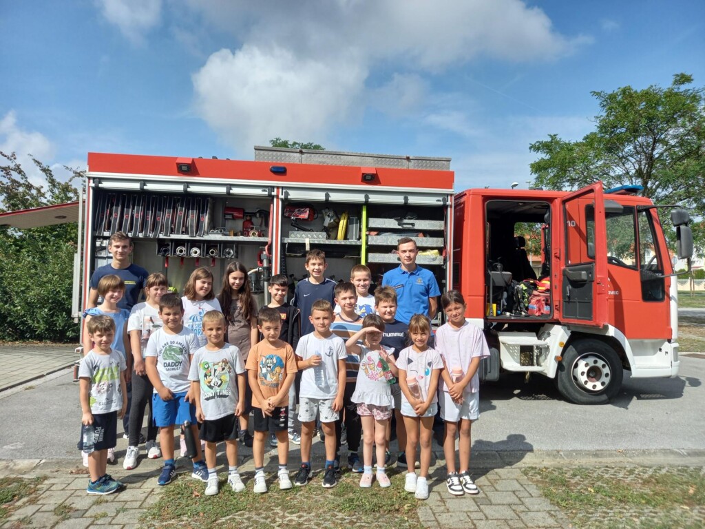 dvd jagnjedovec - bazeni cerine (1)