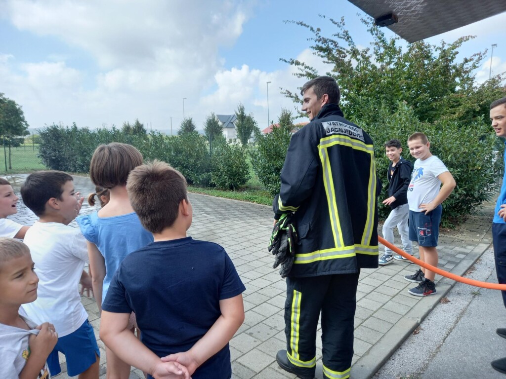 dvd jagnjedovec - bazeni cerine (10)