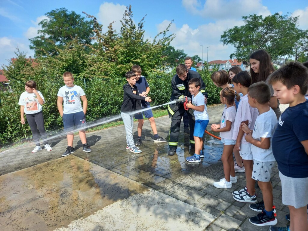 dvd jagnjedovec - bazeni cerine (11)